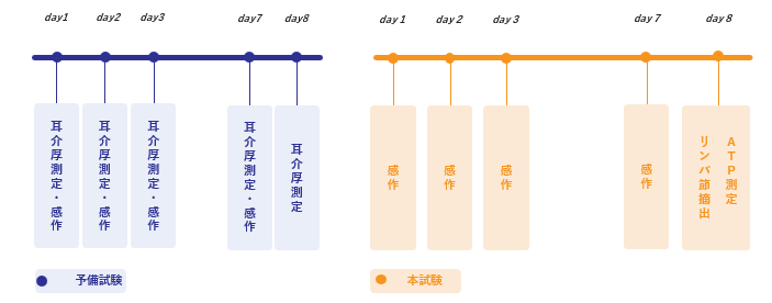 LLNAスケジュール.png